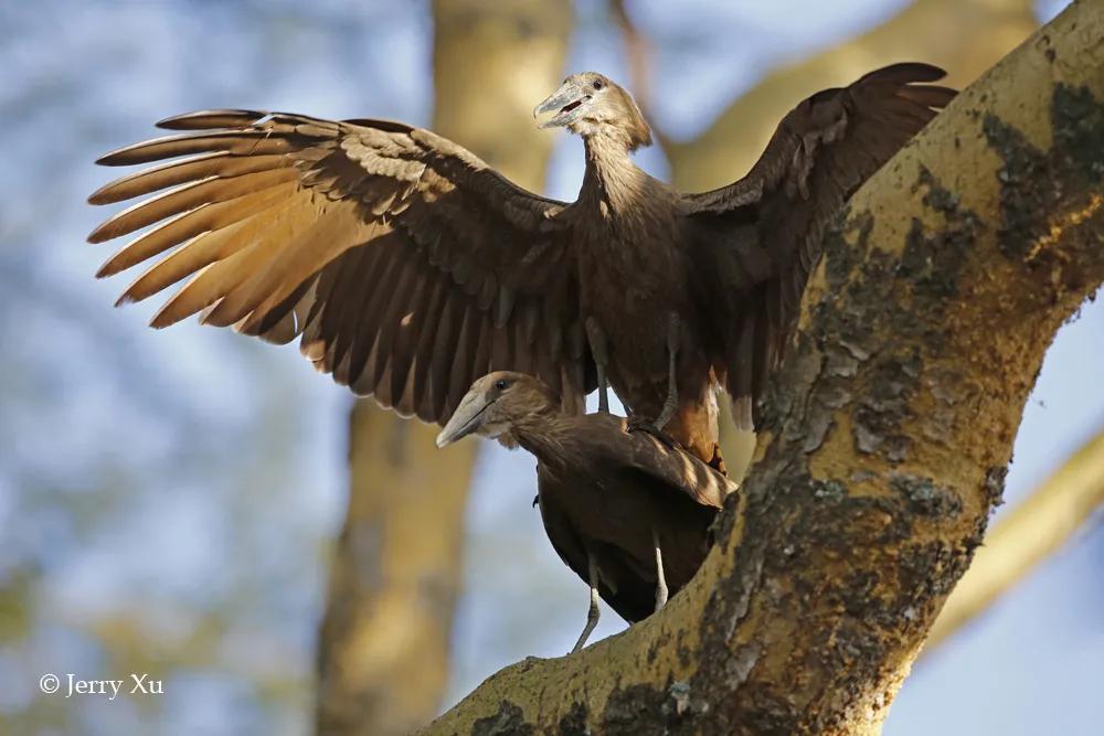 情人节,就该和爱的人*爱做**做的事