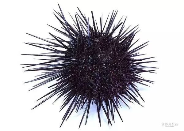 知道家乡的特产怎么发朋友圈,知道自己地区的特产吗