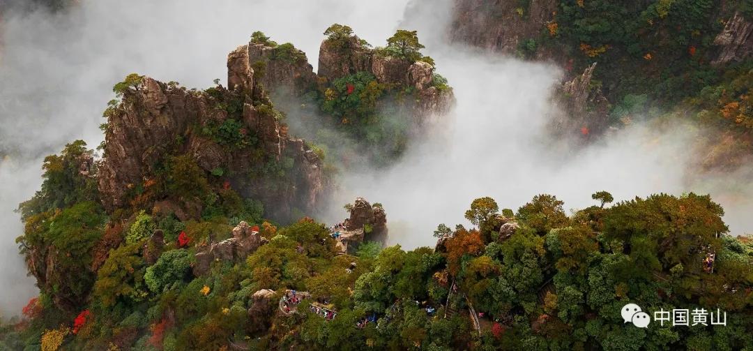榛勫北绉嬪ぉ鎵撳崱,榛勫北绉嬪啲鎽勫奖澶ц禌