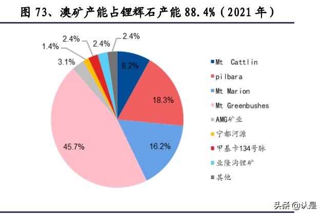 雅化集团深度分析,雅化锂业的现状