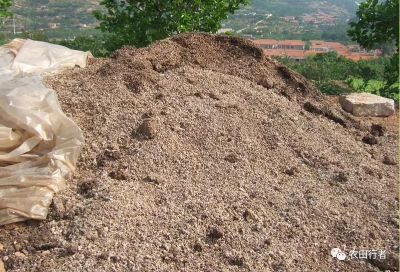 鸡粪不发酵直接上地里的危害,没发酵的鸡粪有什么危害