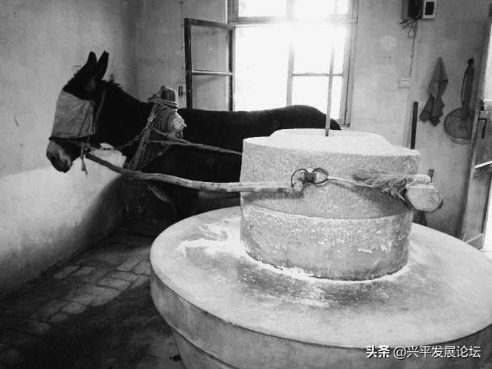 回忆过去珍惜现在展望未来,回忆过去珍惜现在的句子