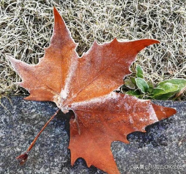 马鞍山天气预报降温时间,今年马鞍山冷吗