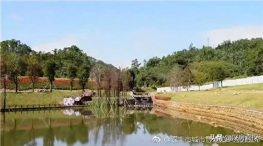 深圳五个世界级地标,2025深圳新地标