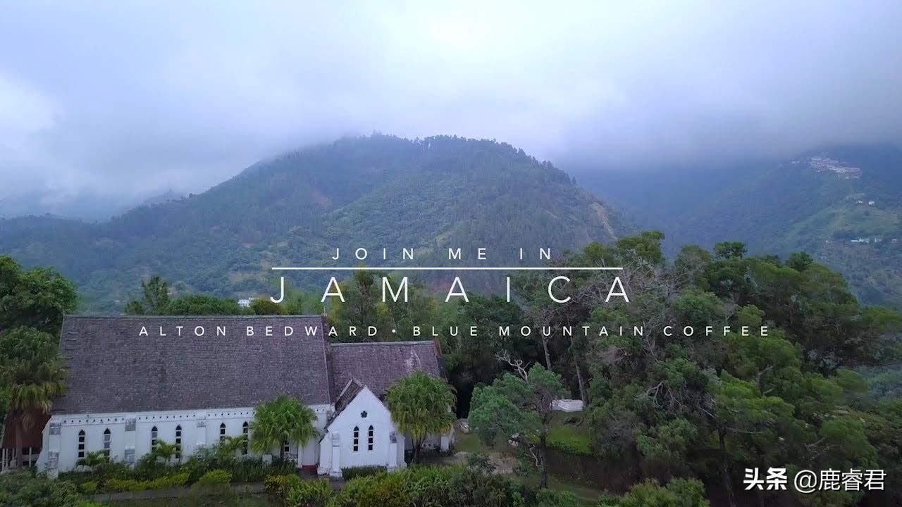 关于咖啡的知识和品种,关于咖啡你最想知道什么知识