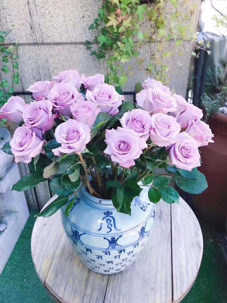 荆报鲜花坊，海洋之歌玫瑰，一扎20枝，55元空运全国包邮