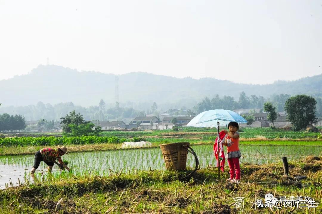 夜听三生全文,夜听三生励志朗诵