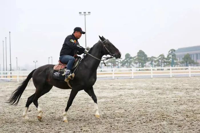 十四运马术室内场馆面积,十四运马术场馆