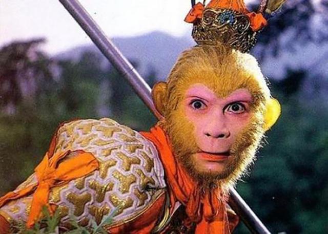 六小龄童为什么会被全网黑,六小龄童如何走下神坛