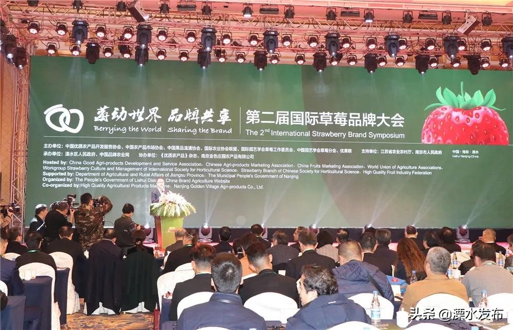 4月的溧水草莓好吃吗,丹东草莓和溧水草莓