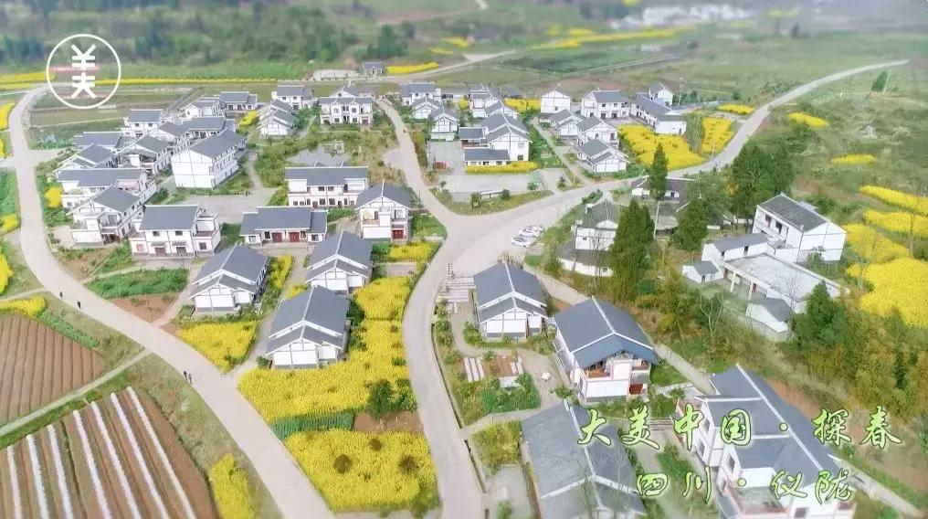 仪陇春天美景,仪陇县夜景震撼上央视