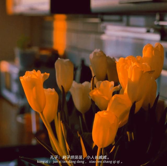 喜欢,请输入自己