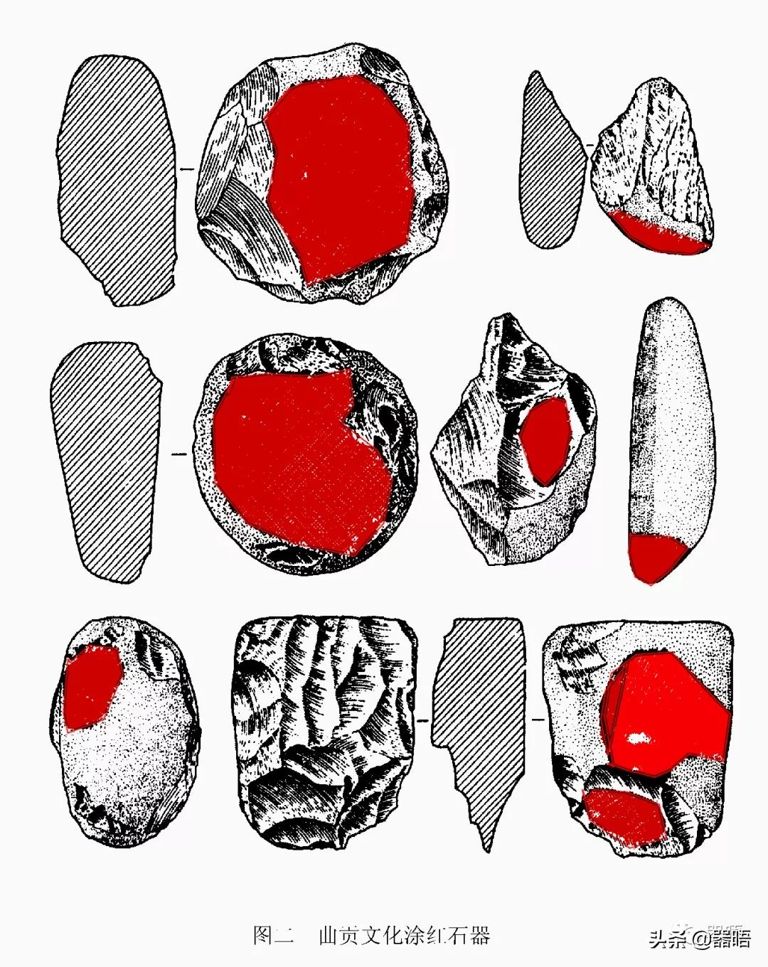 在西藏发现的史前生物,西藏的古人类
