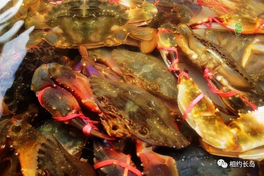 闀垮矝缃戠孩娴烽矞,闀垮矝娴烽矞澶ч鍥剧墖