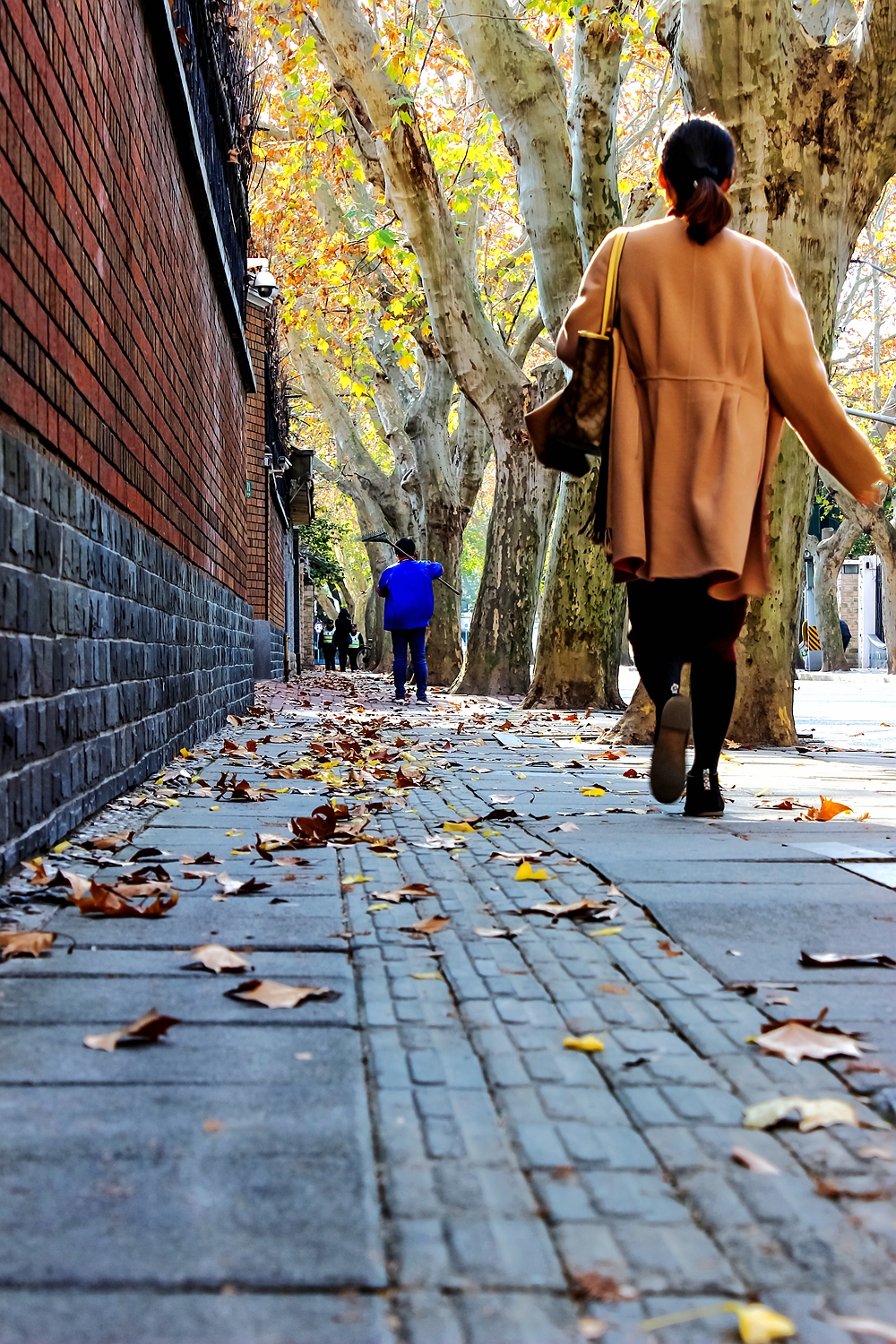 行走老上海全攻略,上海原法租界徒步一日游