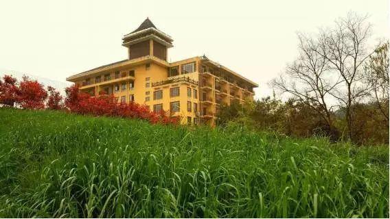 假期到处堵,周末双休哪里旅游堵