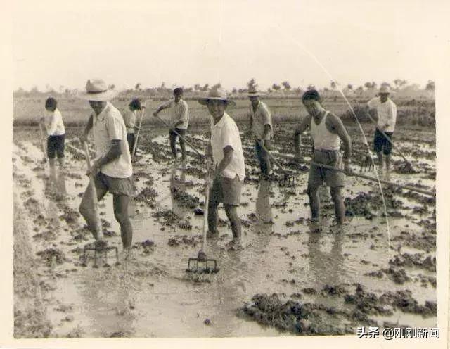 吴江未来五年的发展规划,吴江近十年的变化对比图