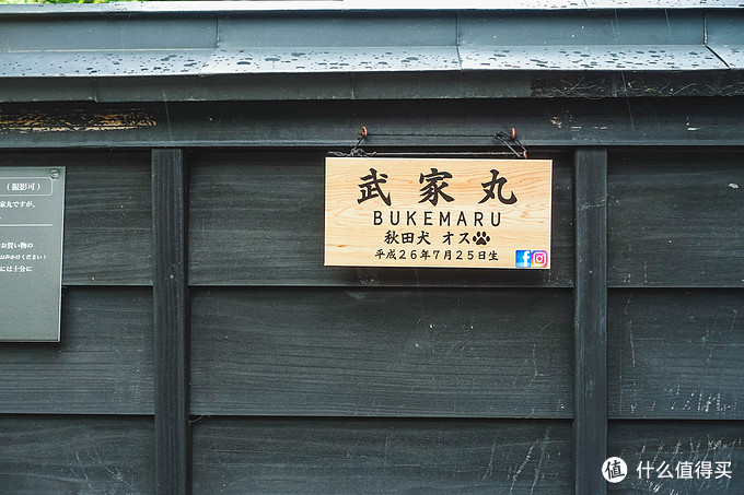 超级震撼的夏日风景,夏季日本旅游15天攻略