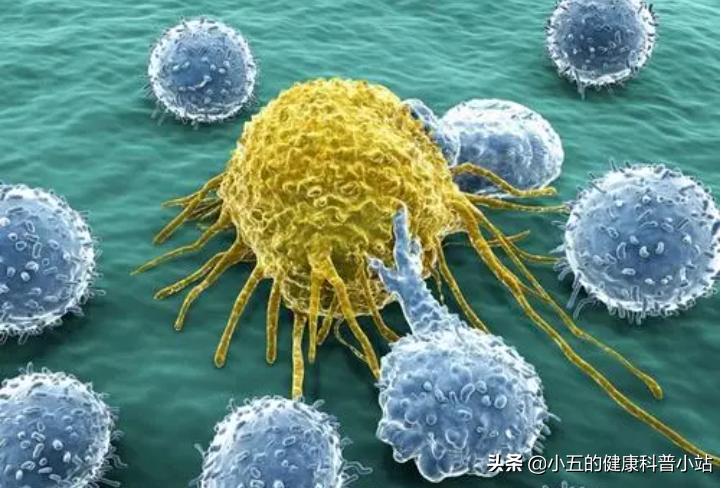 润肠通便茶,润肠茶与肠清茶有什么区别