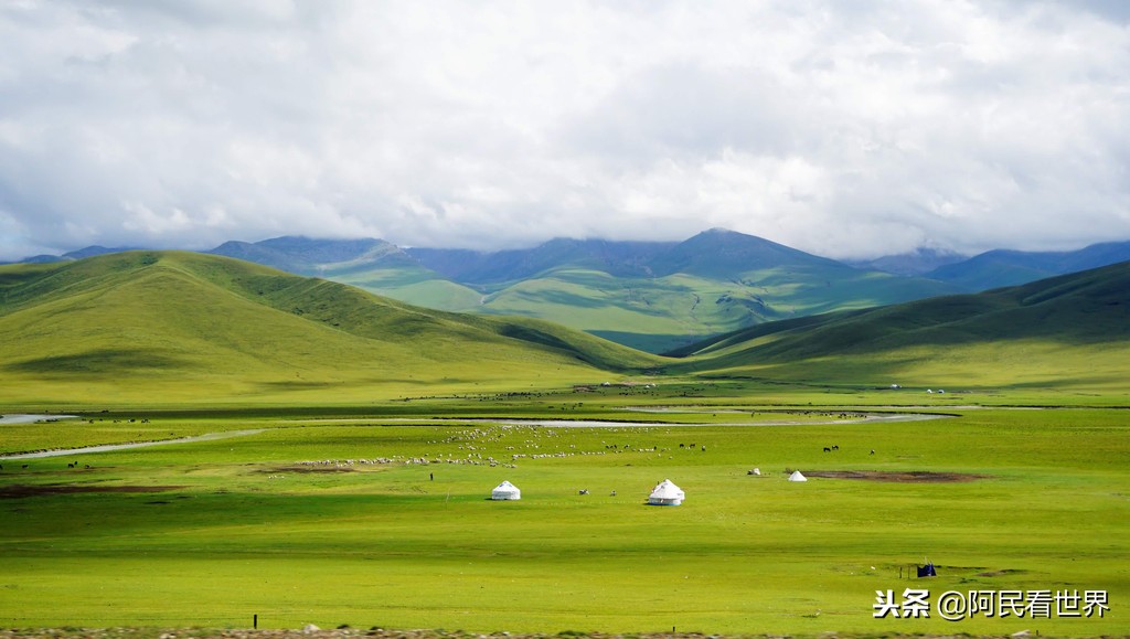 博尔塔拉大草原自驾游,克拉玛依独山子旅游攻略