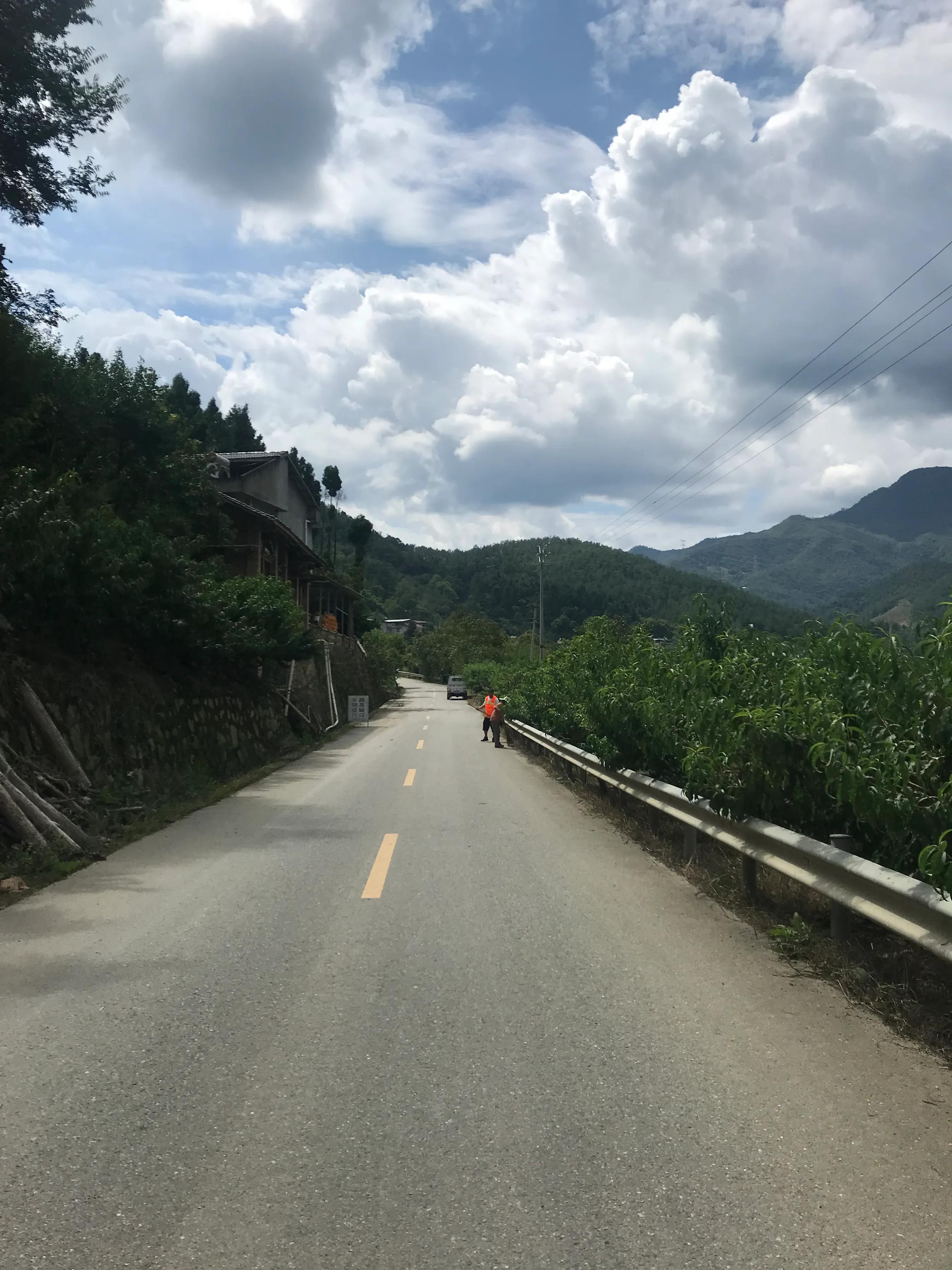 山远近路横斜读音,山远近路横斜青旗沽酒有人家意思