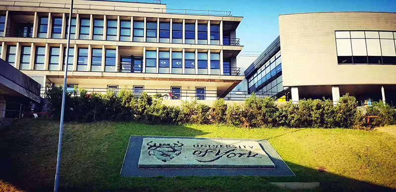 英国约克大学与卡迪夫大学哪个好,英国约克大学市场营销专业怎么样
