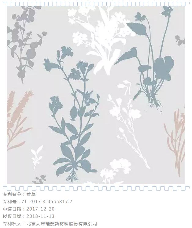 硅藻泥特别图案大全,硅藻泥肌理图案