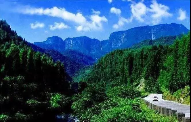 林业生态旅游科普,林草科普