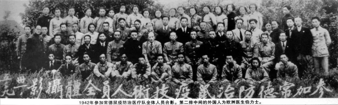 当年的鼠疫是怎么处理的,1910年东北鼠疫怎么治愈的
