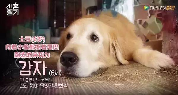 李现和杨紫的cp超话,比杨紫小的明星cp