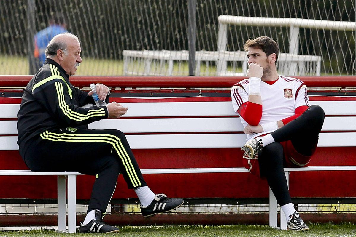 西班牙老帅博斯克,2010年西班牙主教练博斯克