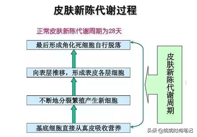如何维持皮肤的水油平衡,怎么样维持皮肤水油平衡