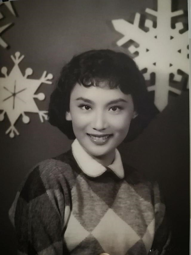 绝代佳人夏梦小说,绝代佳人夏梦简介