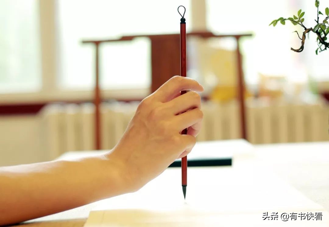 45岁徐静蕾简介,46岁徐静蕾水彩书法