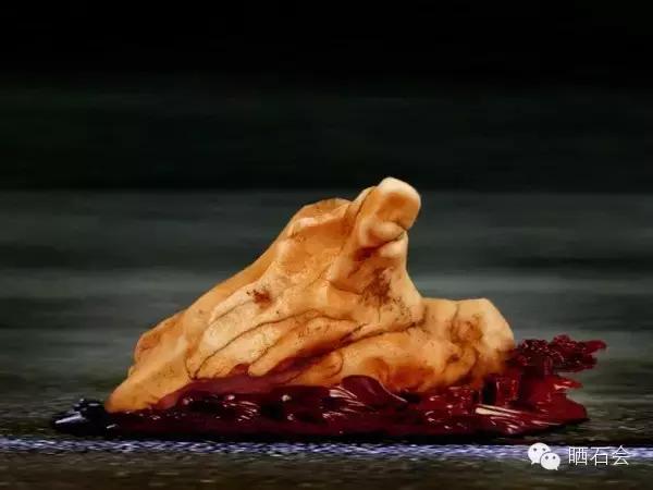 这些奇奇怪怪的奇石让人不忍直视,奇石每一件都是绝无仅有