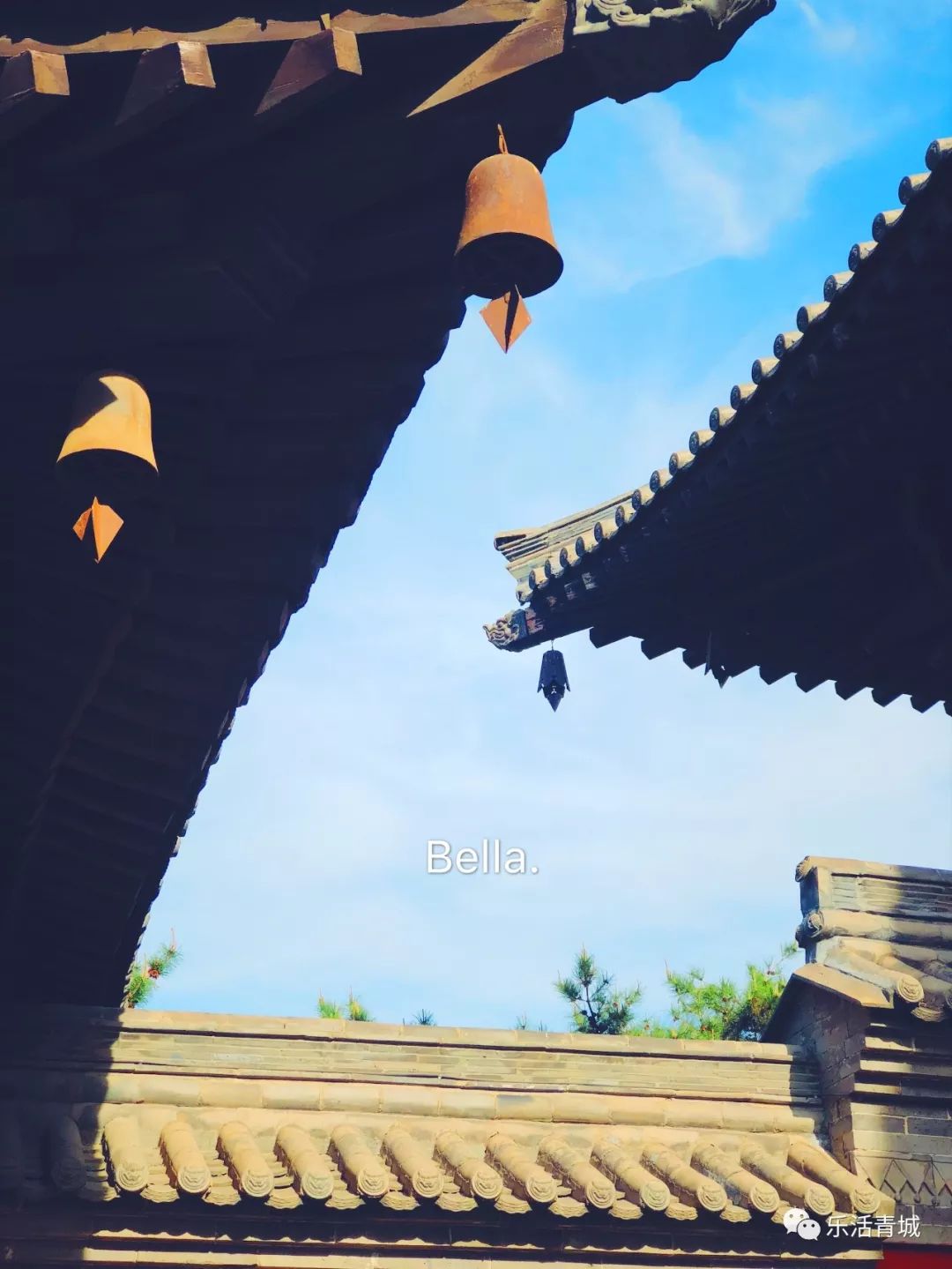 贝拉专访合集,贝拉专栏采访视频