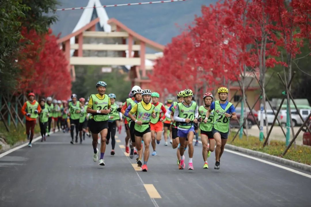 陇南各县城区面积排名,陇南缤纷城