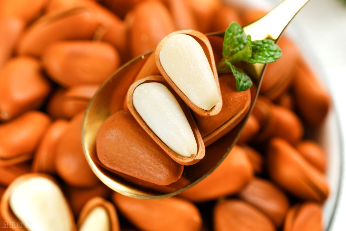 松子在古时候叫什么,松子真的存在过吗