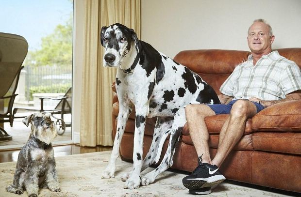 奇葩吉尼斯纪录大盘点,十七个世界纪录