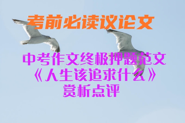 中考成功满分作文赏析20篇,中考励志作文赏析