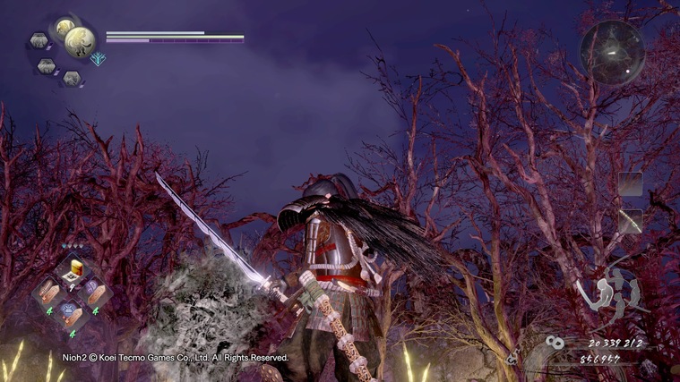 仁王大太刀武功,仁王太刀图片大全