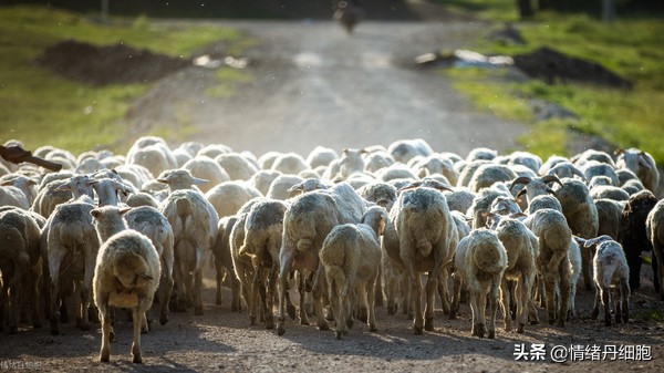 门头沟避暑景点推荐,柳树沟自然风景区旅游攻略