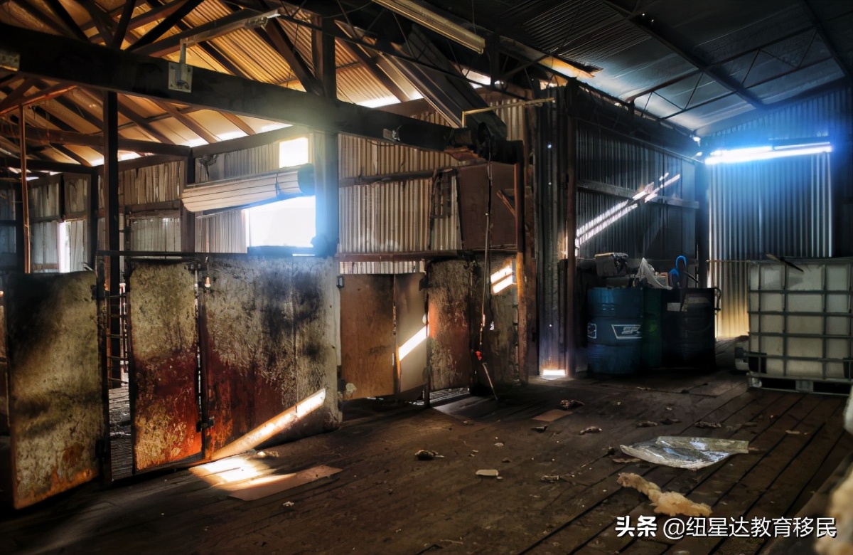 在澳洲如何找到体面又高薪的工作,澳大利亚的高薪工作