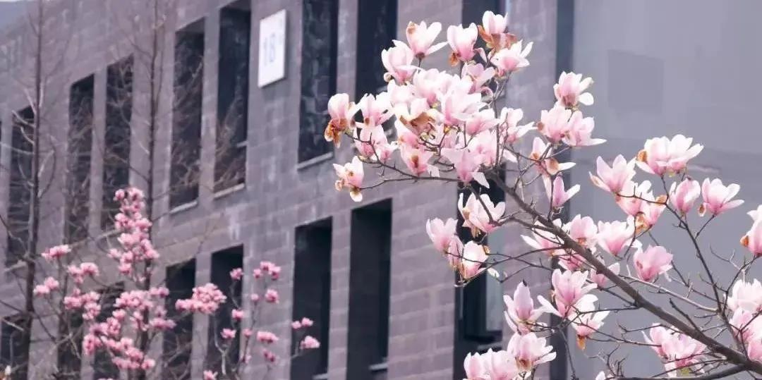 浣犱滑瀹夊績鑰冭瘯鎴戜滑鐢ㄥ績瀹堟姢,鎴戜滑涓轰綘鎶よ埅浣犱滑瀹夊績涓婅