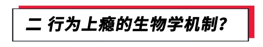 上瘾的行为正在毁掉成年人,所有上瘾的东西都很难戒掉