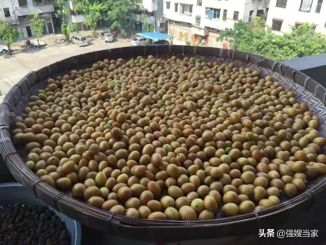 腌黄皮好吃吗,腌盐黄皮