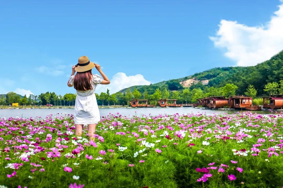 在济南花式避暑,一见“清”心!只需一瞥,便足以把酷夏原谅…