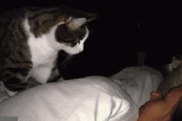 开心一刻gif下雨天,搞笑gif笑到肚子疼意外瞬间特辑