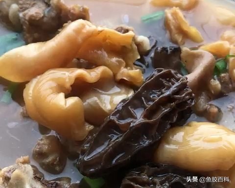 鱼胶煲汤的最佳配方,吃鱼胶宝宝