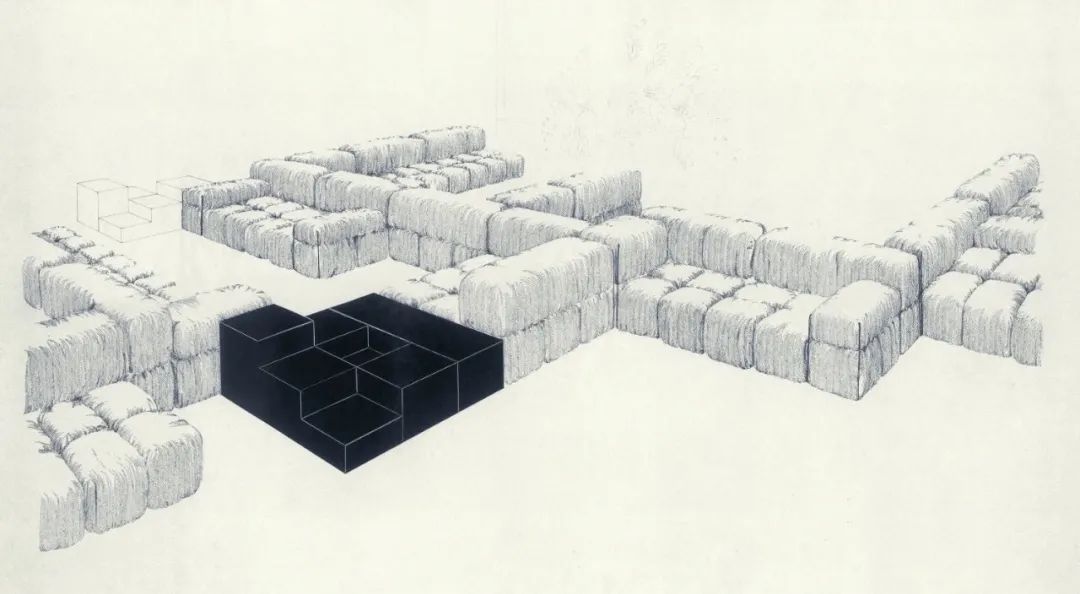 BBItaly设计师马里奥·贝里尼MarioBellini变色龙沙发Camaleonda